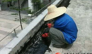 防水补漏房屋漏水维修,防水补漏与房屋漏水维修攻略
