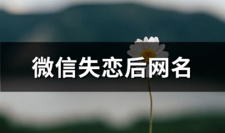 非主流失恋网名,青春记忆中的独特情感符号”