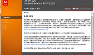ai下载中文版免费cs5,轻松开启创意之旅