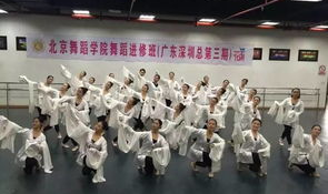 北京舞蹈学院进修班,舞蹈艺术人才培养的摇篮