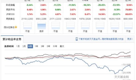 121003基金,投资策略、风险收益与市场表现解析